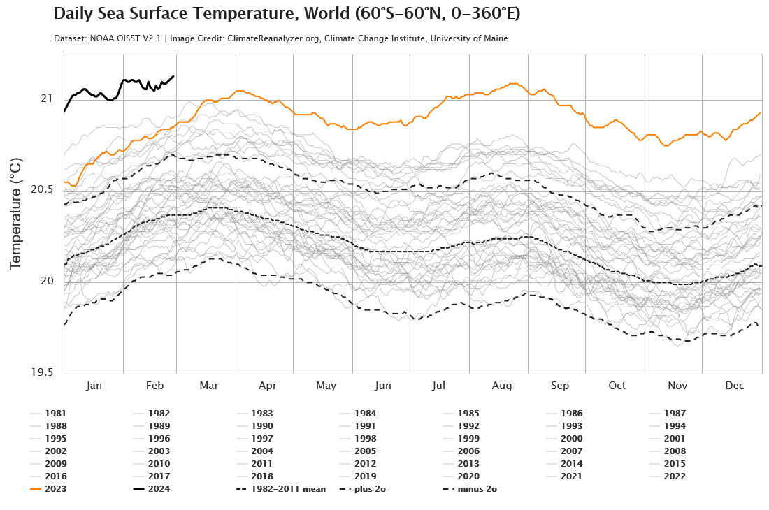 Daily Sea Surface Temperature March 01, 2024